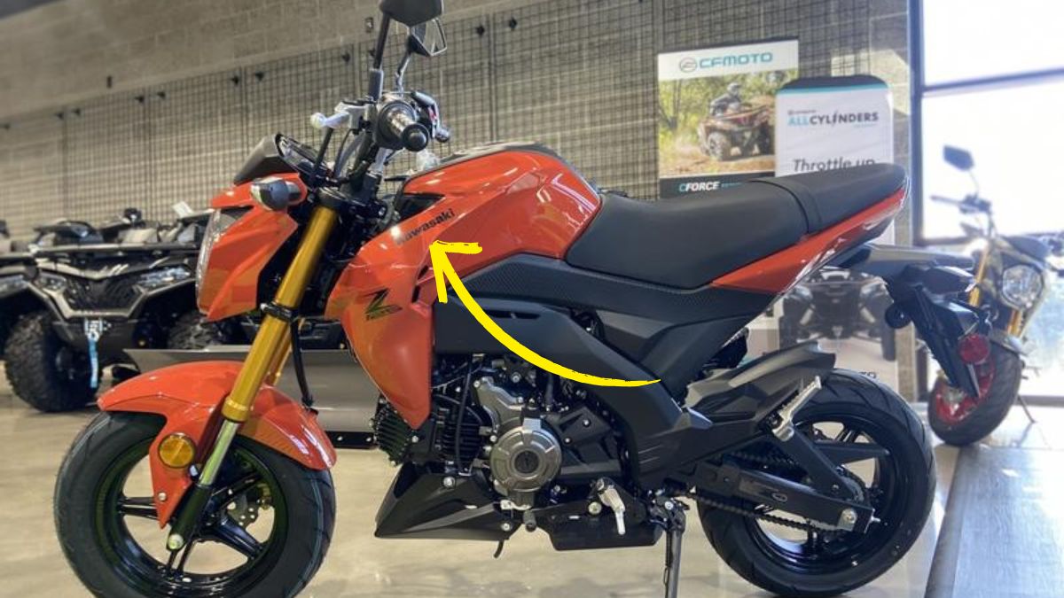 Kawasaki Z125 Pro