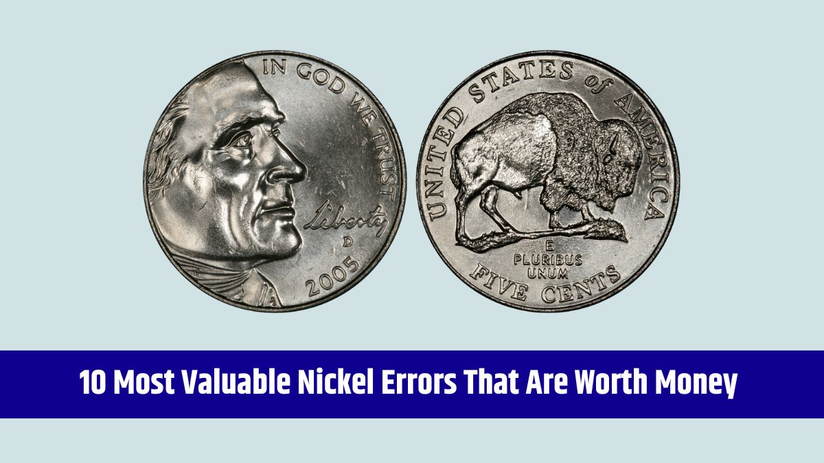 2005-D Speared Bison Nickel