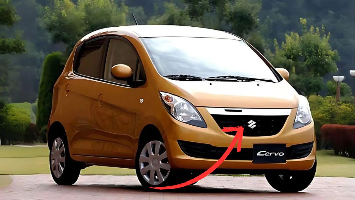 Maruti Cervo